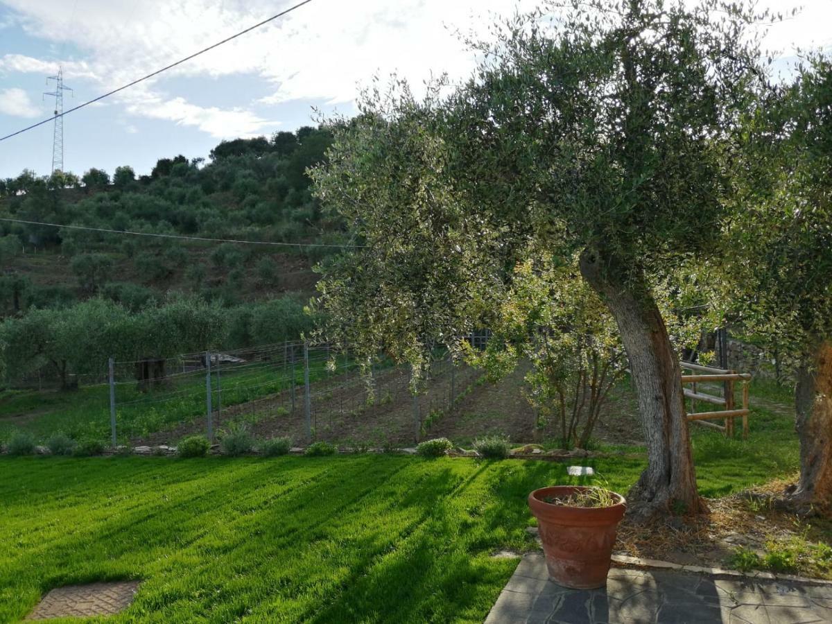 Agriturismo Oltrealmare Civezza Exterior foto